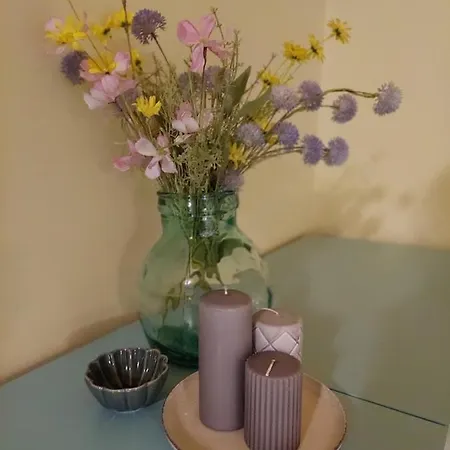 Apartament Daniella Vendeghaz *