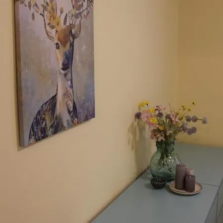 Daniella Vendeghaz Apartament